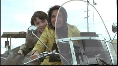 harold and maude imdb|More.